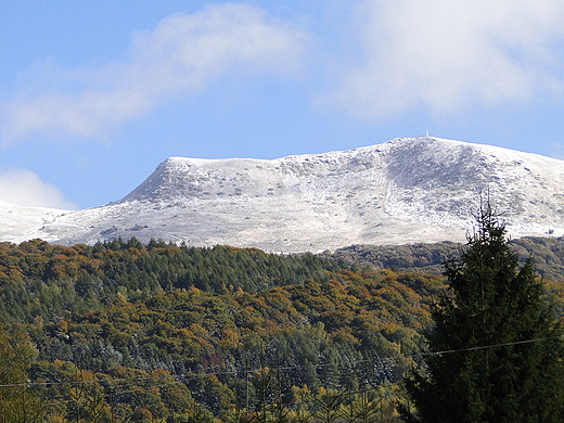 Tarnica