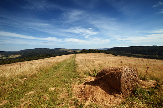 Podkarpackie klimaty