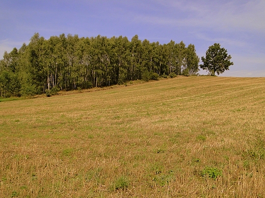 Hucisko - okoliczne pola