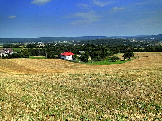 Ppice - okoliczne pola