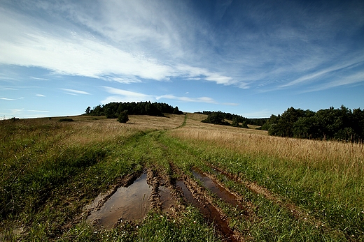 Podkarpackie klimaty