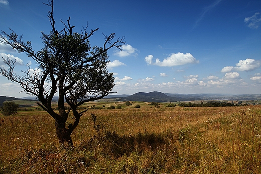 W kierunku Przeczy Dukielskiej