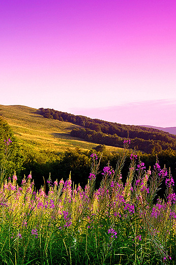 Bieszczady