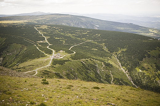 Widok ze nieki