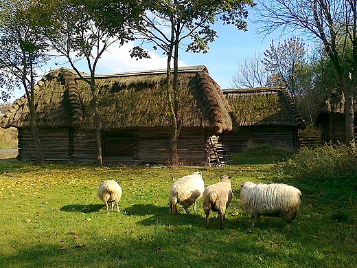 skansen - na Powilu