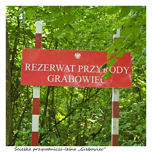 Rezerwat Grabowiec