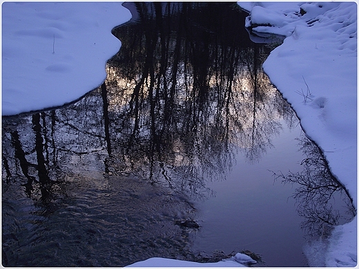 park krajobrazowy Wenecja.