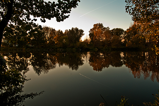 Rzeka Pilica.