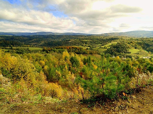 Bieszczady - widok z Kozica