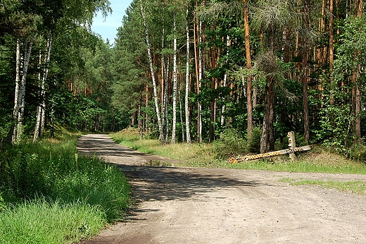 Gielnia. Zniszczony XIX-wieczny krzy