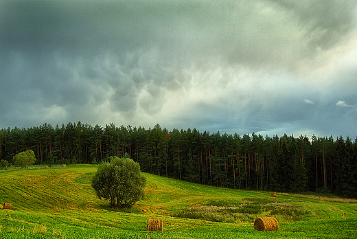 Mazury