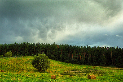 Mazury