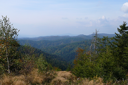 Padziernik w Beskidach