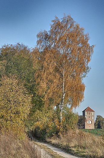 Koci w mijewie od strony Lisa Myn