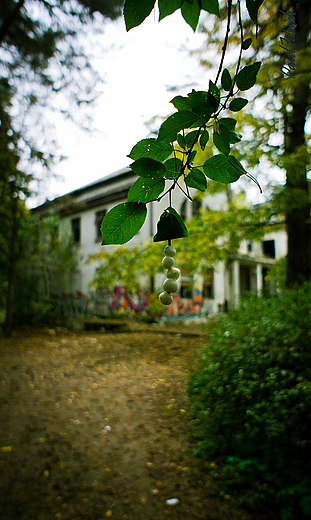 Szpital Psychiatryczny Zofiwka