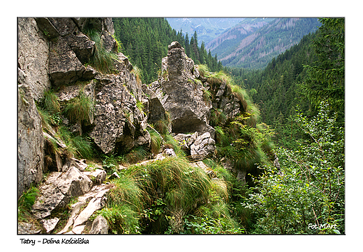 Tatry - Dolina Kocieliska