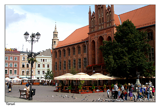 Toru - ttnica yciem toruska Starwka, w tle Ratusz