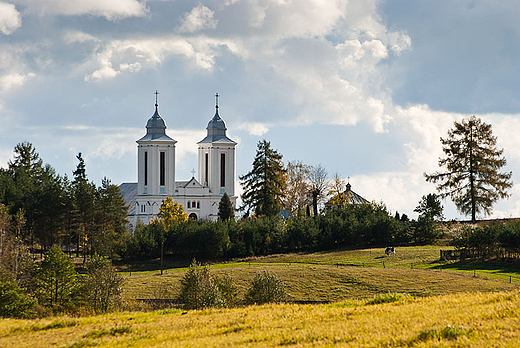 Koci w Kaletniku