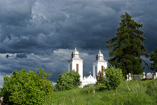 Koci w Kaletniku