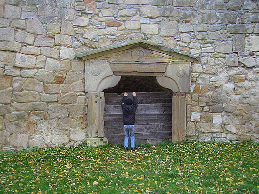 Zamek w Winiczu