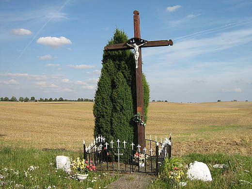 Krzy  przydrony w miejscowoci Gordanowo w okolichach asina