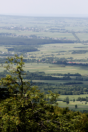 wity Krzy - panorama z platformy widokowej