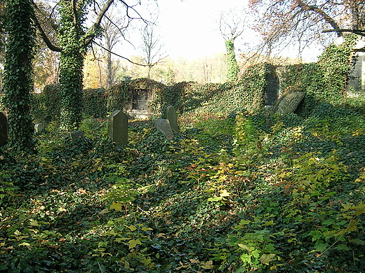 Cmentarz ydowski.