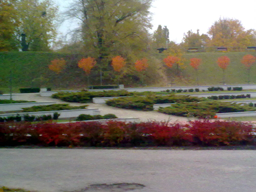 Cytadela rosarium