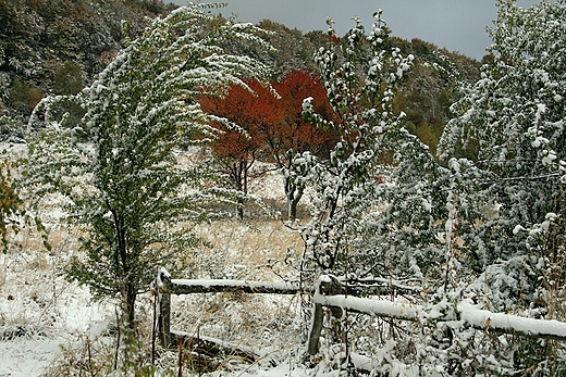 Troch zimy tej jesieni pod Rawkami