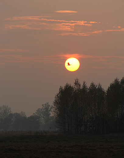 Zachd soca. Okolice wsi Laskowiec