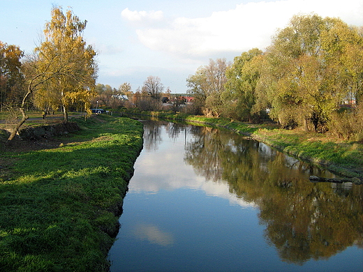 Widok z mostu na rz. Wieprz