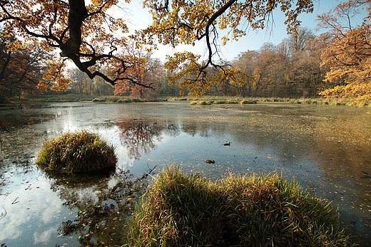 W jesiennej scenerii