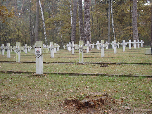 Cmentarz wojenny w Granicy