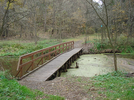 Mostek na kanale asica