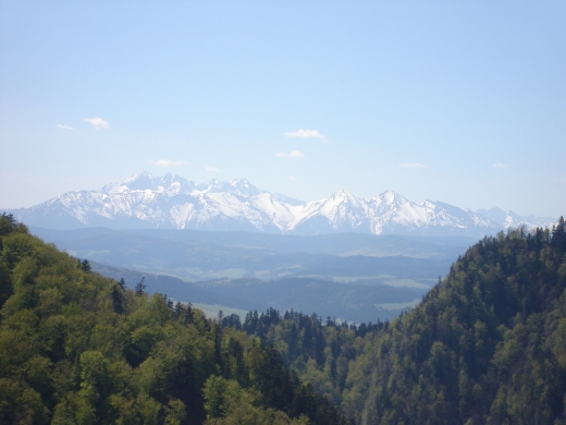 Widok na Tatry z Sokolicy