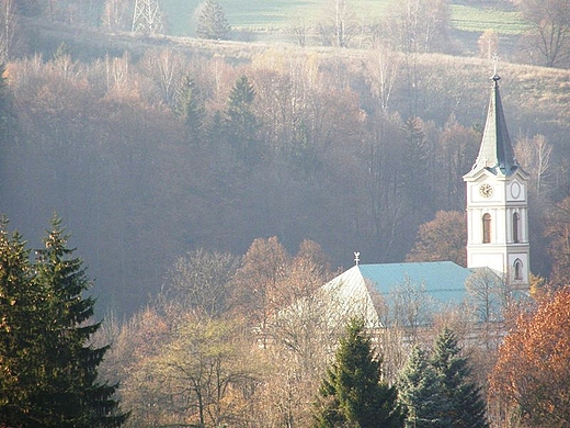 widok na centrum Wisy