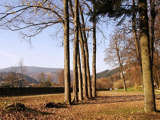 nad rzek