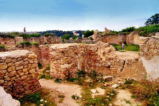 Ruiny zamku w Iy