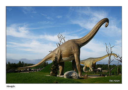 Nowcin - park dinozaurw