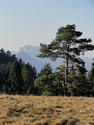 Widok na Trzy Korony