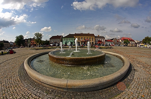 Rynek w owiczu