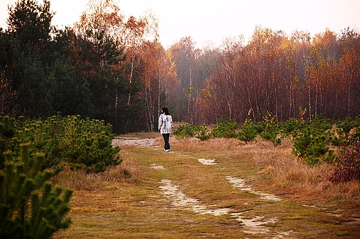 Jesie idzie przez park