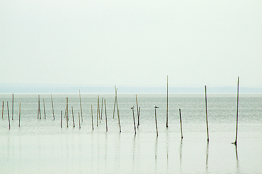 Jezioro niardwy