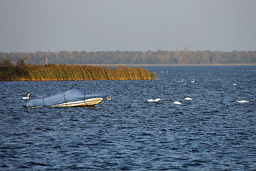 Swarzewo - widok na Zatokę Pucką