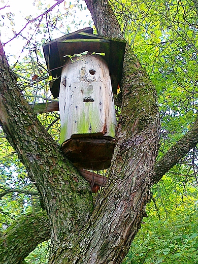 skansen, ul z Roztocza