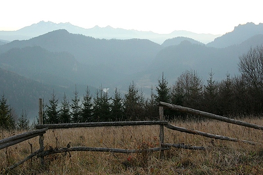 Widok na Tatry