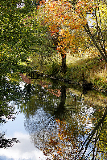 Straszyn - jesie nad Raduni