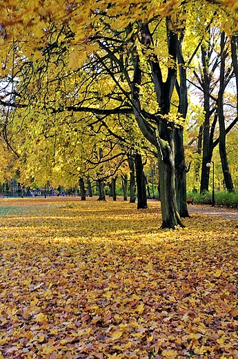 Park Sołacki