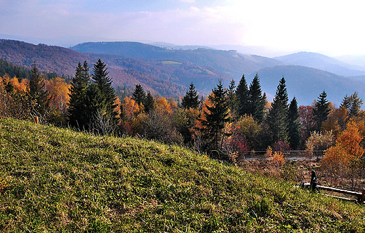 Beskid lski w okolicy Rwnicy.