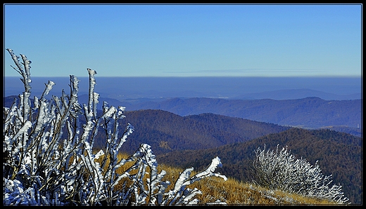 listopadowe bieszczady